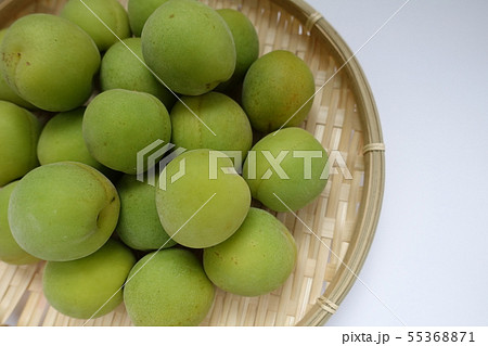 ウメ　うめ　梅 55368871