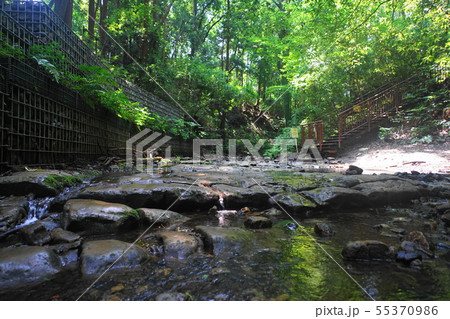 7月　横浜501渓流･陣ヶ下渓谷公園 55370986