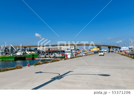 【青森八戸漁港舘鼻岸壁】早朝の八戸漁港の風景 55371206