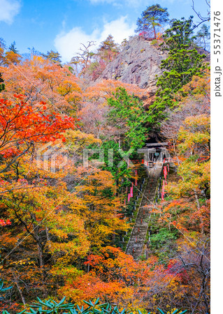 山本不動尊 （秋） 55371476