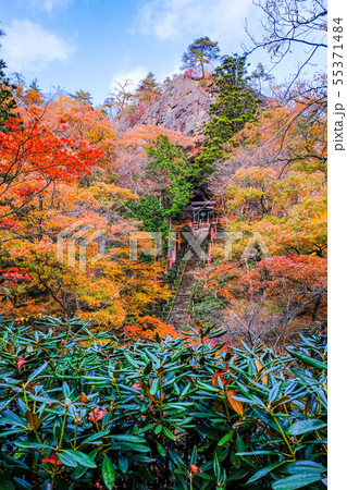 山本不動尊 （秋） 55371484