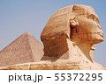 The great Sphinx in Cairo, Giza, Egypt 55372295