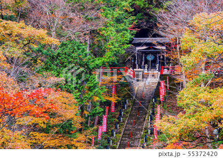 山本不動尊 （秋） 55372420
