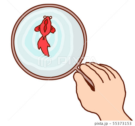 金魚すくい 金魚すくい 55373153