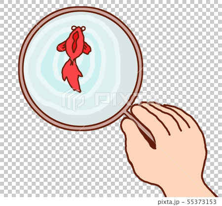 金魚すくい 金魚すくい 55373153