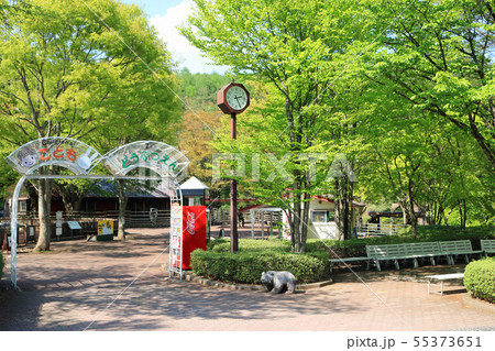 盛岡市動物公園、こどもどうぶつえん 盛岡市動物公園、こどもどうぶつえん 55373651