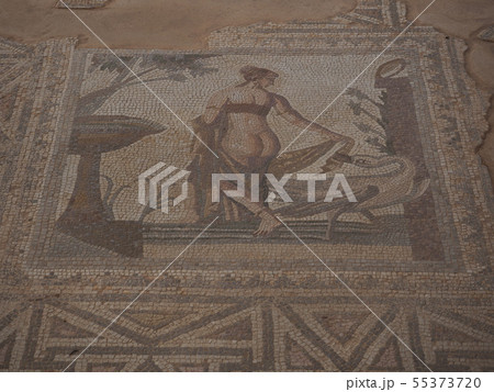 レダと白鳥 レダと白鳥 55373720