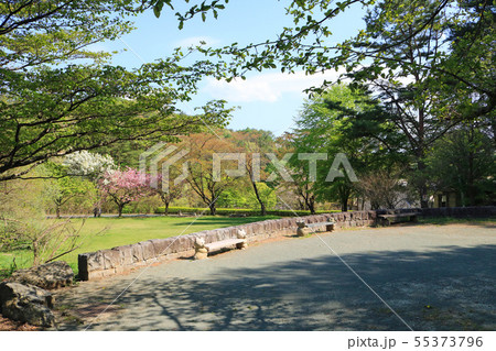 盛岡市動物公園、バイソン前芝生広場 盛岡市動物公園、バイソン前芝生広場 55373796