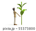 大きく育てる 55373800