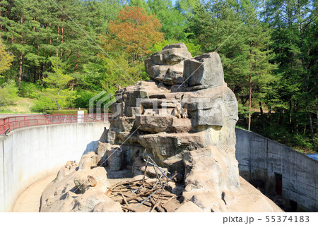 盛岡市動物公園、ニホンザル 盛岡市動物公園、ニホンザル 55374183