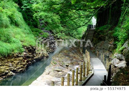 小安峡　遊歩道　秋田県 55374975