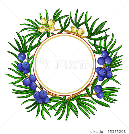 juniper vector frame juniper vector frame 55375208