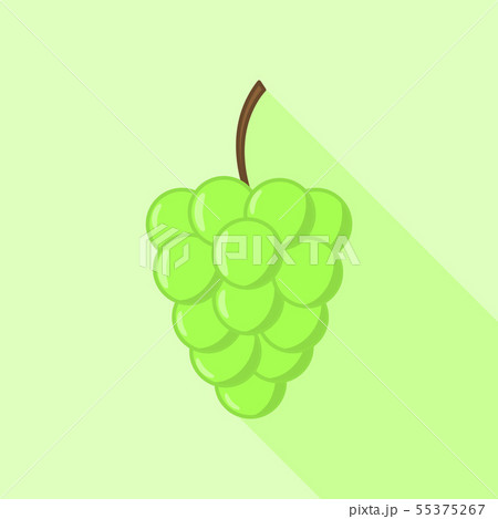 Grape illustration in flat style. Grape illustration in flat style. 55375267