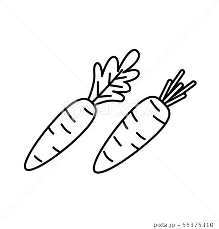 Carrot icons in outline style. Vector illustration 55375310