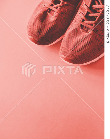 Sport trainers on empty background. Coral tone Sport trainers on empty background. Coral tone 55375557