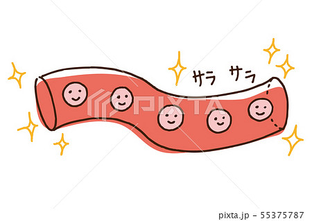 健康な血管　血液　赤血球 55375787
