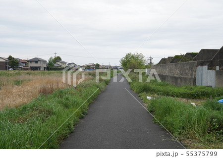 旧大社線跡 旧大社線跡 55375799