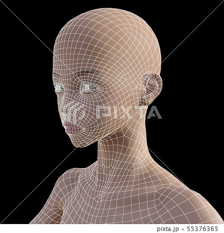 女性の頭部　　perming3DCG イラスト素材 55376365