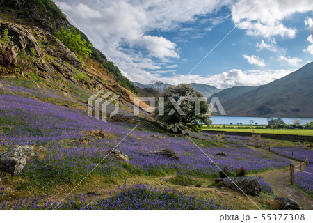 Looking down to Crummock Water 55377308