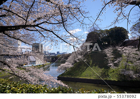 日本の東京都市景観　平成最後の桜などを望む（九段下・千鳥ヶ淵周辺） 55378092