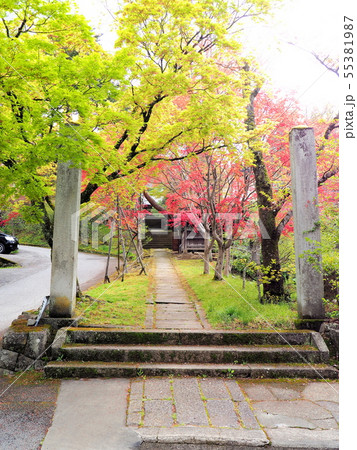 春の飛騨高山　新緑の参道 55381987