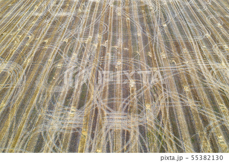 Farm field  55382130