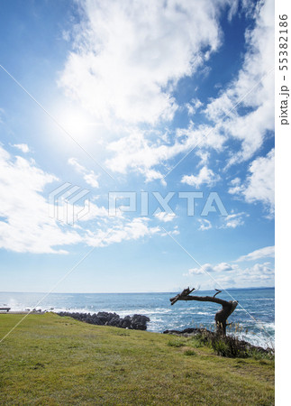 岩井崎の龍の松 三陸復興国立公園 宮城気仙沼観光の写真素材