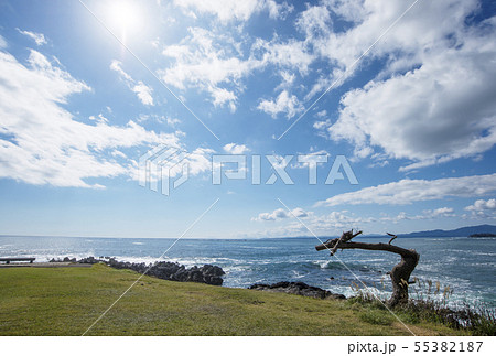 岩井崎の龍の松　三陸復興国立公園　宮城気仙沼観光　年賀状素材　辰年 55382187