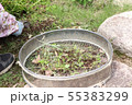 抜いた草を入れるカゴ 55383299