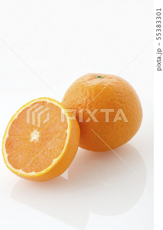 清見オレンジ 55383301