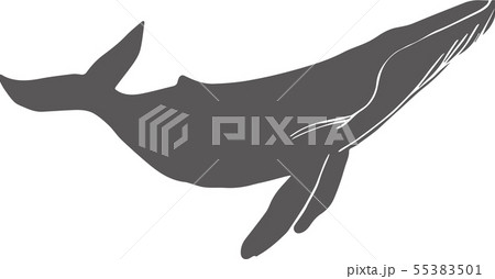 クジラアイコンイラスト 55383501