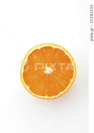 清見オレンジ俯瞰 清見オレンジ俯瞰 55383535