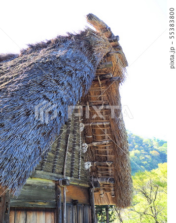 春の世界遺産五箇山菅沼合掌造り集落 春の世界遺産五箇山菅沼合掌造り集落 55383800