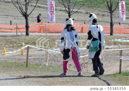 牛の着ぐるみ 55385350