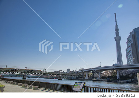 【浅草　スカイツリー】 55389212
