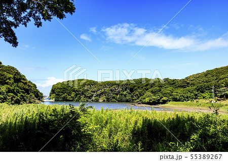 渓谷(夏) 渓谷(夏) 55389267