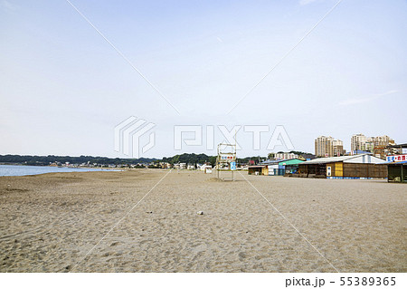 三浦海岸（夏） 55389365