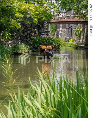 近江八幡　八幡堀めぐり　水郷めぐり 55390282