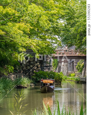 近江八幡　八幡堀めぐり　水郷めぐり 55390283