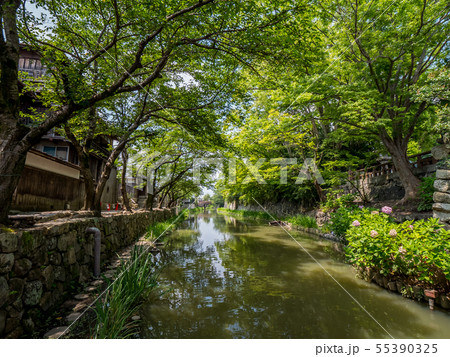 近江八幡 八幡堀めぐり 水郷めぐり 近江八幡 八幡堀めぐり 水郷めぐり 55390325