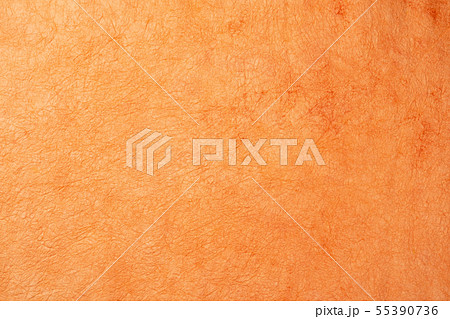 素材　和紙 55390736
