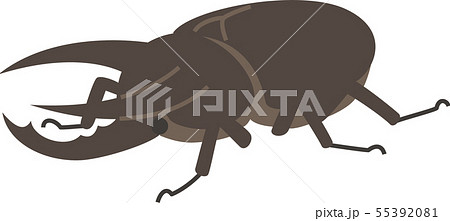 コーカサスオオカブト コーカサスオオカブト 55392081
