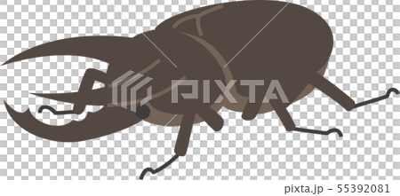 コーカサスオオカブト コーカサスオオカブト 55392081