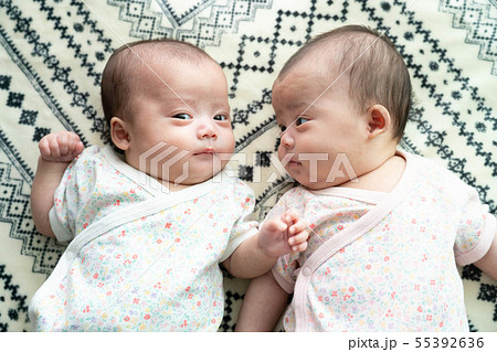 赤ちゃん 双子 乳児の写真素材