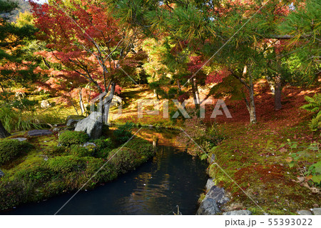 天龍寺の紅葉 55393022