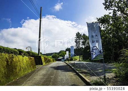 茶畑(夏) 茶畑(夏) 55393028