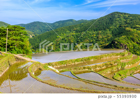 大中尾棚田 水張り風景 【長崎市】 大中尾棚田 水張り風景 【長崎市】 55393930
