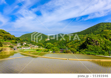 大中尾棚田　水張り風景　【長崎市】 55393946