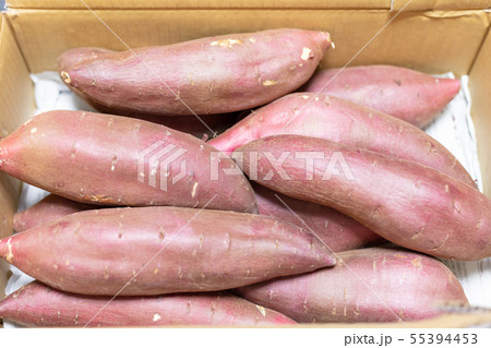 シルクスイート(サツマイモ・芋) 55394453