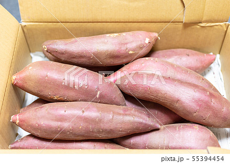 シルクスイート(サツマイモ・芋) シルクスイート(サツマイモ・芋) 55394454